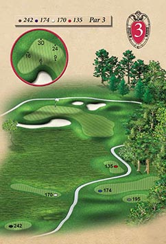 Hole #3 – Floodplain Rendering