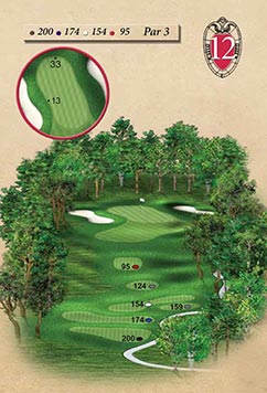 Hole #12 – Dropshot Rendering