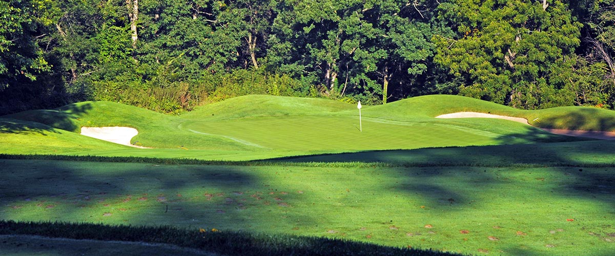 Hole #12 – Dropshot Rendering