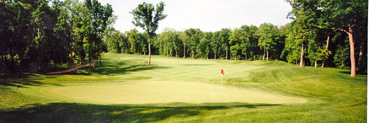 Hole #15 – Lone Elm Rendering